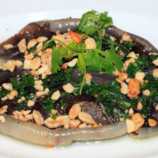 cá lồi xối mỡ 