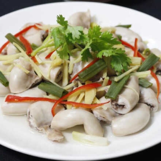 Dòi trường hấp gừng