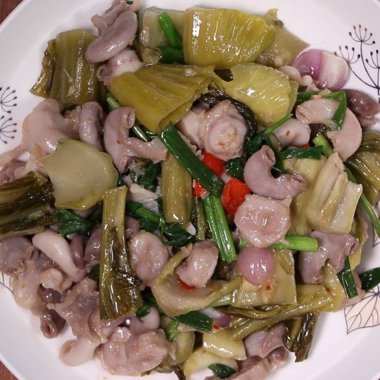 Dòi trường xào cải chua